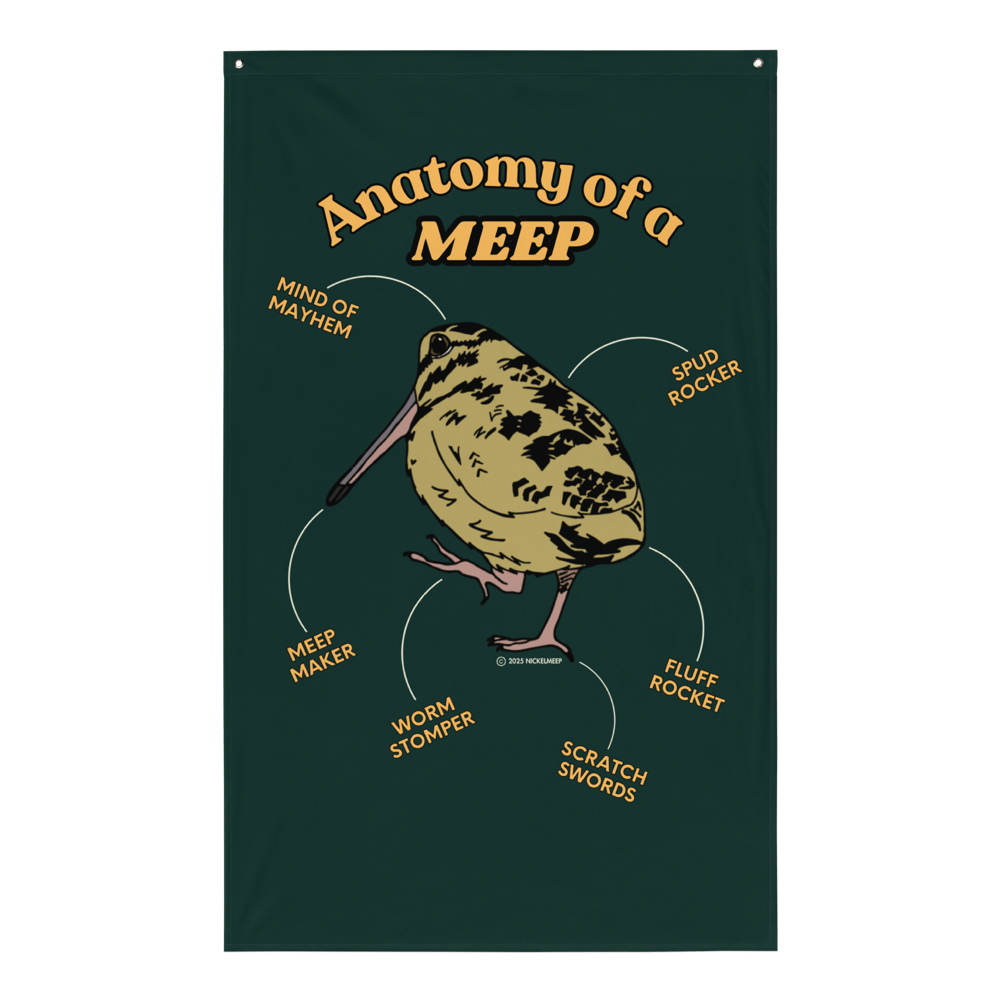 Anatomy of a Meep Flag