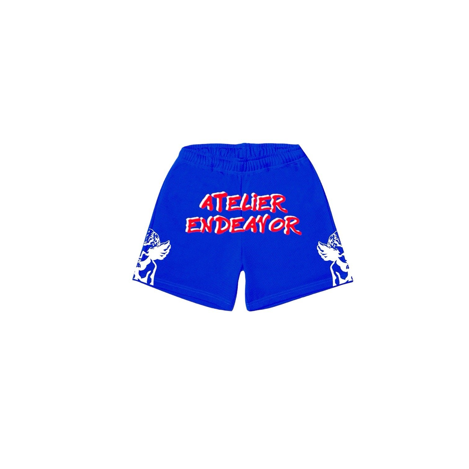 Image of Angel Mesh shorts “Blue”