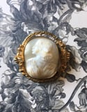 Magnifique camée en coquillage, 19eme siècle.Profil féminin, broche grande taille (4,7x5,5cm)