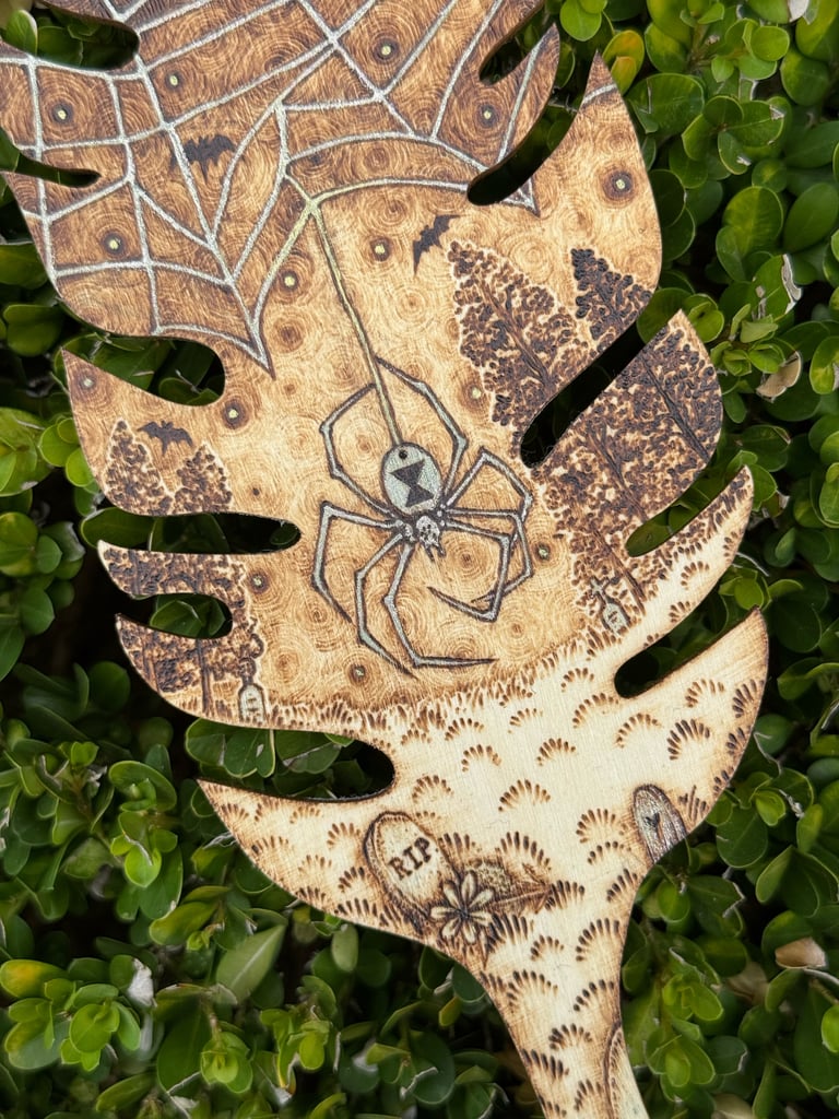 “wicked webs”