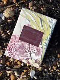 Image 5 of Seaweed Sketchbook 