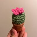 Mini Unkillable Cactus