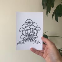 Image 2 of Mushroom Postcard Print - set of 4