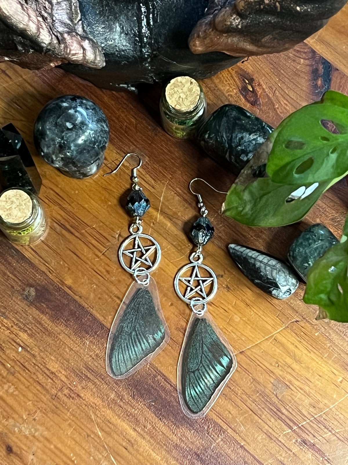 Butterfly wing clearance earrings