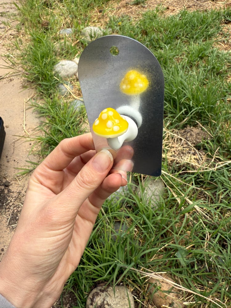 Image of Mushy Magnets 