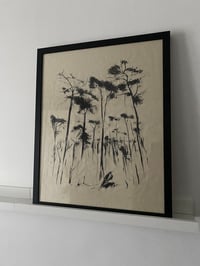 Image 2 of Woods