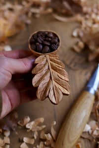 Image 6 of Oak Leaf-Coffee Sccop 