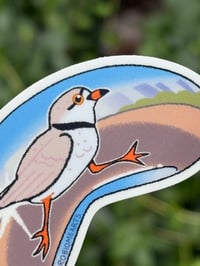 Image 4 of Chicago Piping Plover 3” Sticker