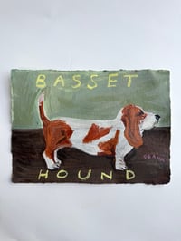 Basset Hound