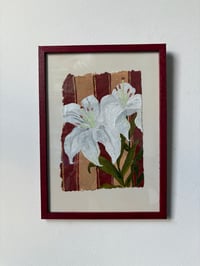 Image 1 of white lily 