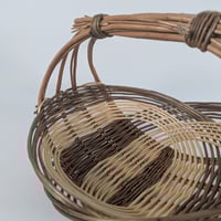 Image 2 of Medium Zarzo Basket by Petals and Pots