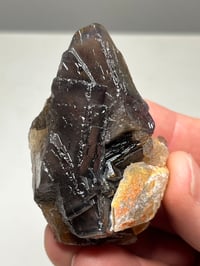 Image 1 of Pakistan Black Rose Fluorite UV Specimen #2625
