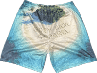 Image 2 of (PRENORDER) Deserted Island Mesh Shorts 
