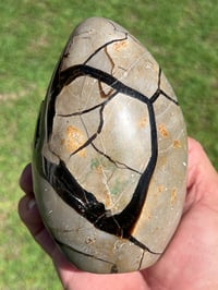 Image 9 of Septarian Nodule Polished Freeform With Calcite Inclusions| Madagascar #2892