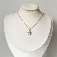 Image 3 of STARFISH