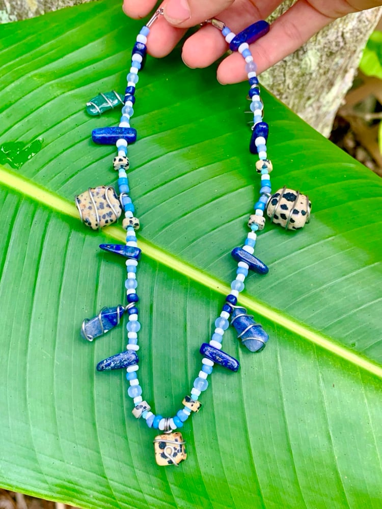 Image of Vanda