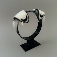 Image 3 of White Moon Pup