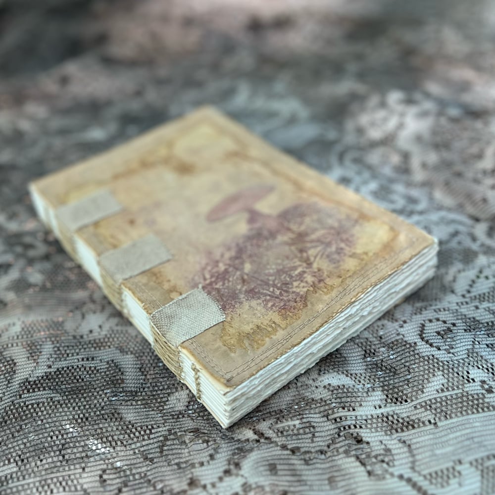 Stonehenge Mushroom sketchbook