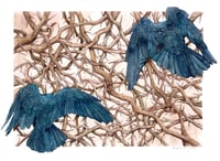 Image 1 of *NYHED* Huginn&Muninn A3 Print 