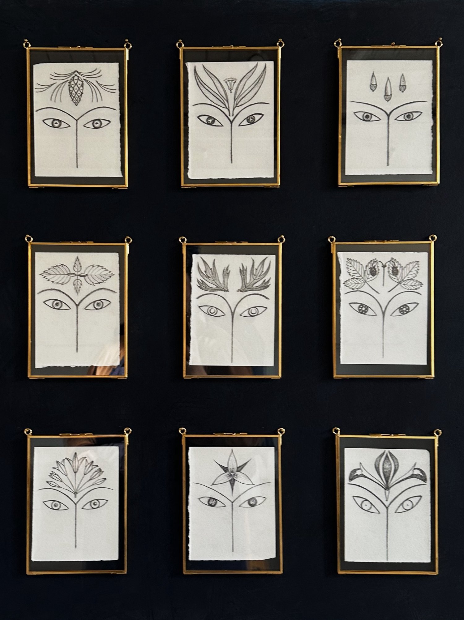 Image of The Sensual World drawings: Eucalyptus, Mugwort, Trillium 