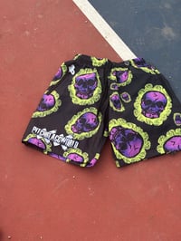 Image 2 of Purple Haze