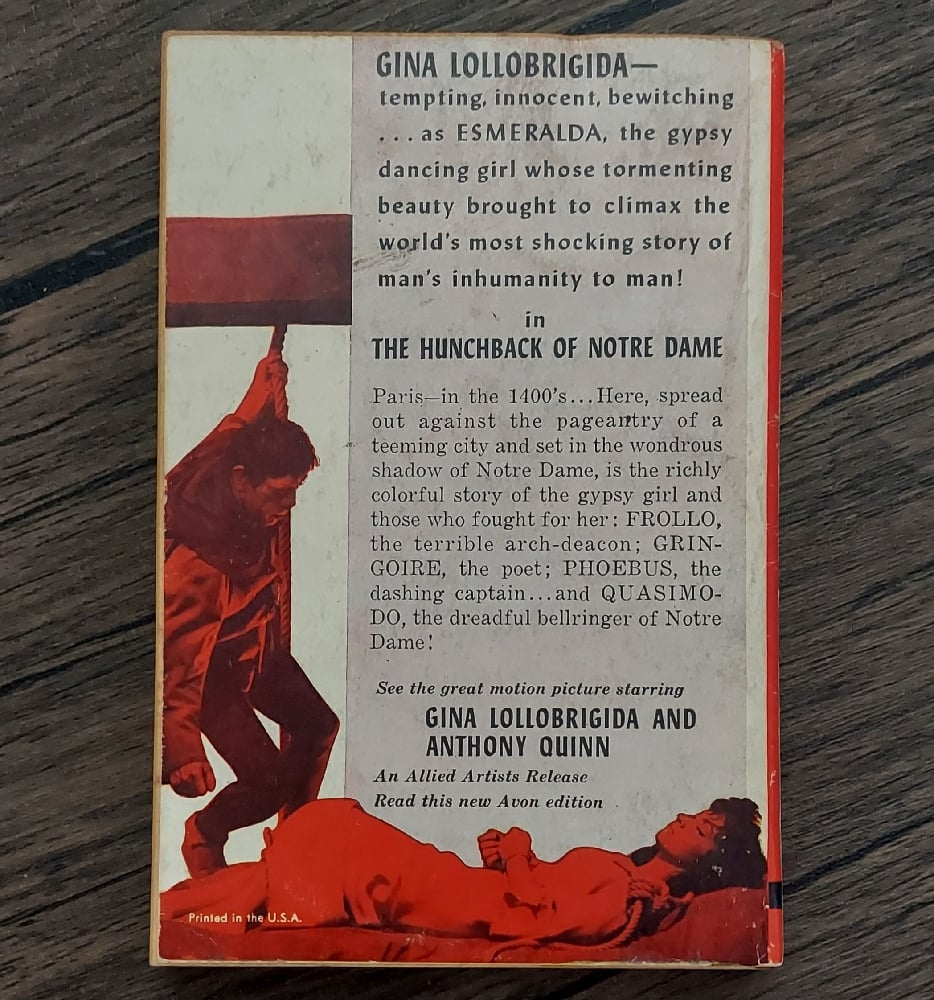 The Hunchback of Notre Dame, by Victor Hugo