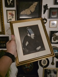Image 1 of REMBRANDT COLLECTION - with preserved spider web. 