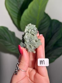 Image 13 of CHOOSE YOUR OWN BOWTIE PREHNITE -INDIA-