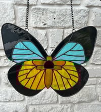 Image 1 of Sweet Buttetfly
