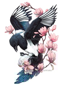 Print - magnolia magpie