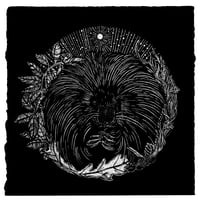 Image 1 of Porcupine & Blueberries
