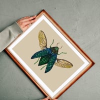 Image 2 of Green Jewel Beetle Watercolor Illustration PRINT 