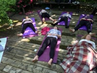 Image 14 of Japanese Garden Mini Sanctuary Session 