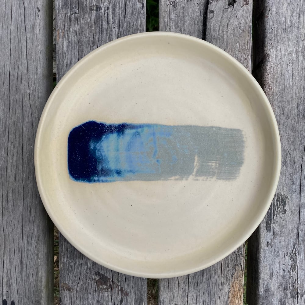 Image of Blue brush plate 