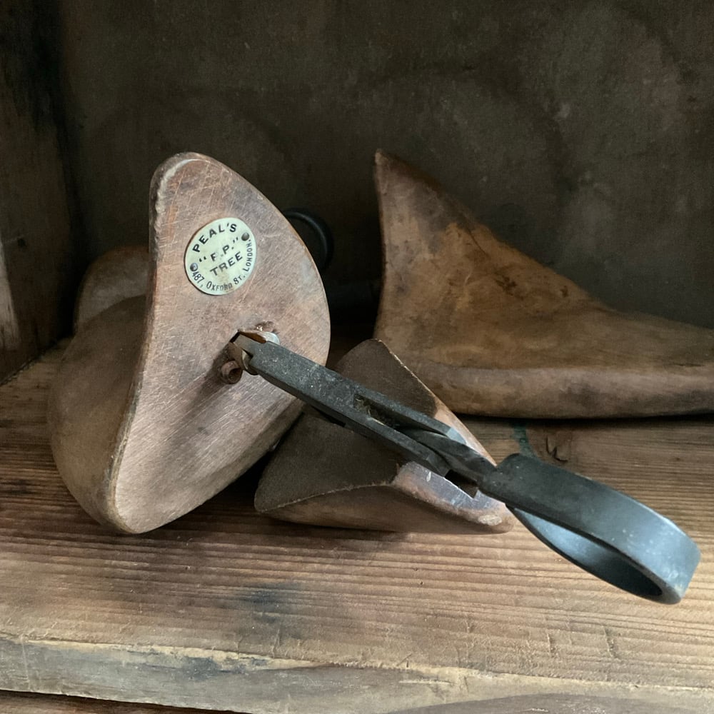 Image of Shoe Lasts (pair no.2)