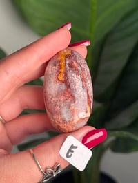 Image 10 of CHOOSE YOUR OWN MEXICAN LACE AGATE PALMSTONES 