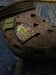 Image of Croc Charm Hatbox Creeper