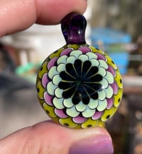 Image 1 of Purple Coleus