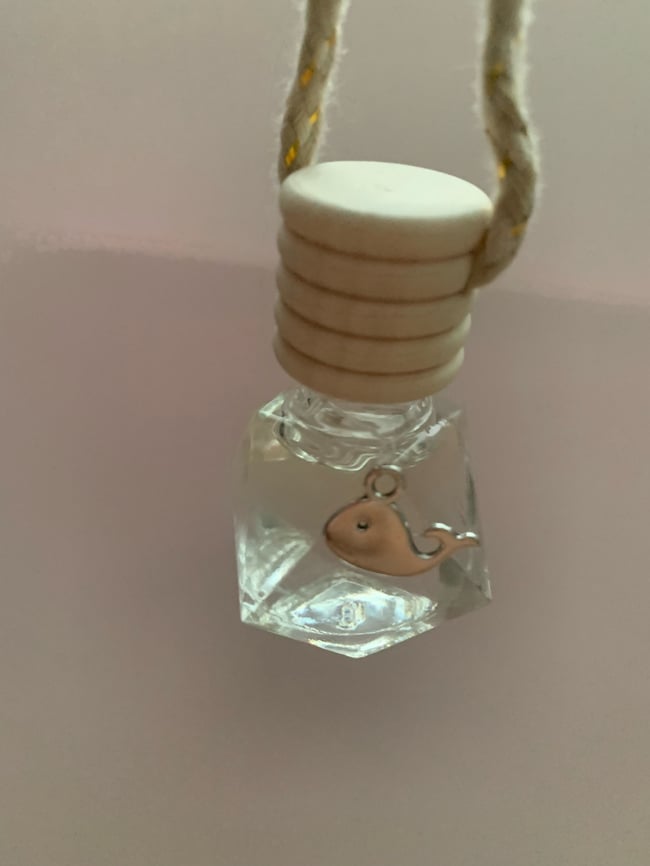 Diffuser car freshner