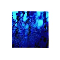 Image 1 of Bandana - Blue Twilight Web
