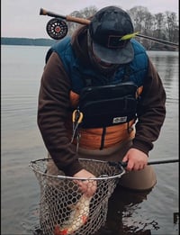 Image 3 of Green Viper Chartreuse UV 