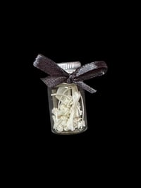 rat bones jar 
