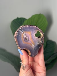 Image 1 of DARK AND MOODY PURPLE AND YELLOW LAGUNA AGATE