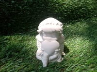 Image 3 of TerraKid +  Sentum pachyphyllum