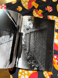Image 3 of IT, Daido Moriyama, 2006. Hysteric Glamour