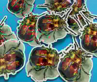 Watercolor Rainbow Beetle Sticker