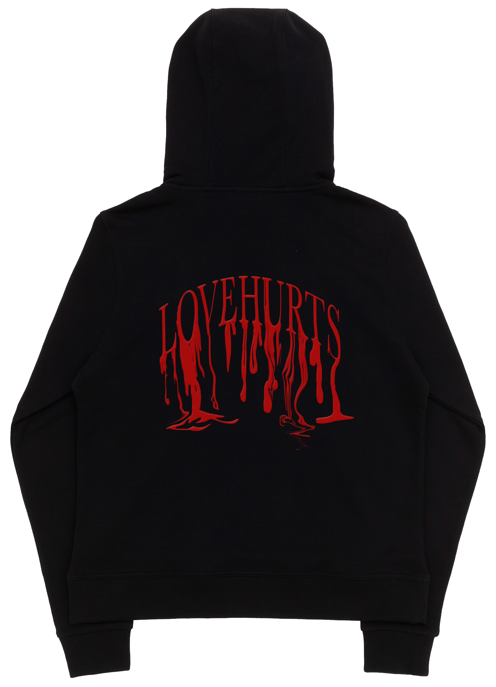 Image of C.A.E. LoveHurts Hoodie*