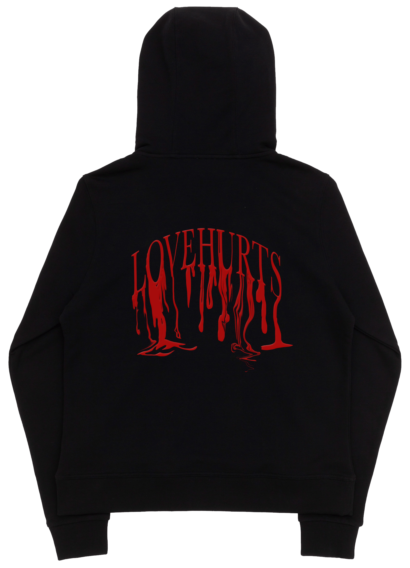 Image of C.A.E. LoveHurts Hoodie* 