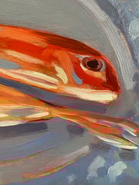 Image 4 of Red Mullets