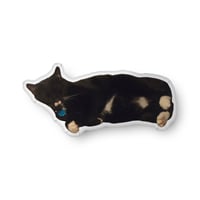 Image 1 of Custom-shaped pillow